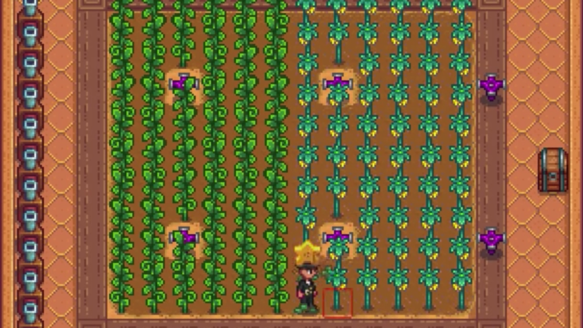 Stardew Valley