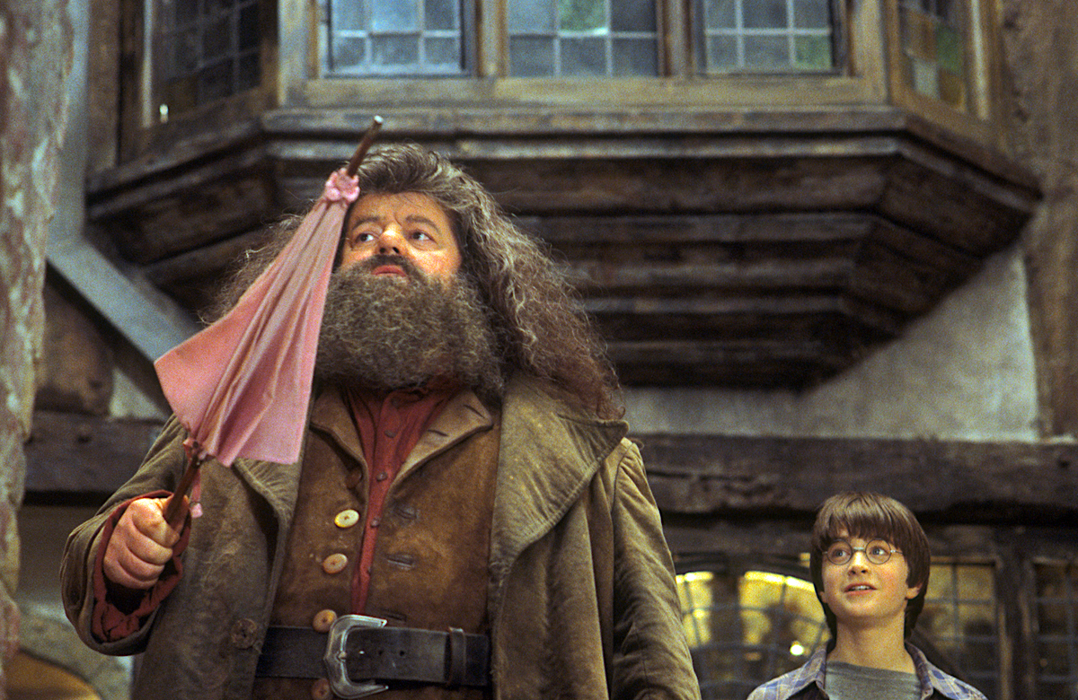 Hagrid and Harry Potter