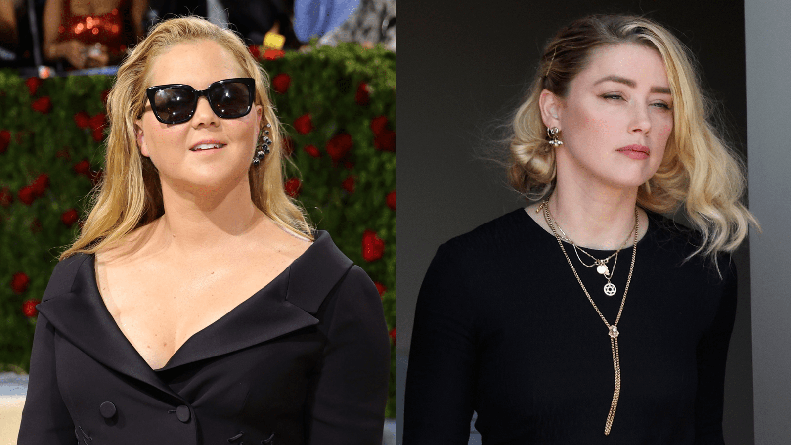 Amy Schumer Amber Heard Johnny Depp Defamation Trial