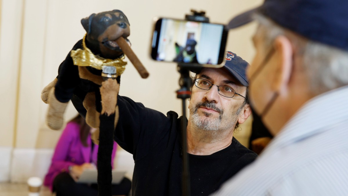 triumph the insult comic dog