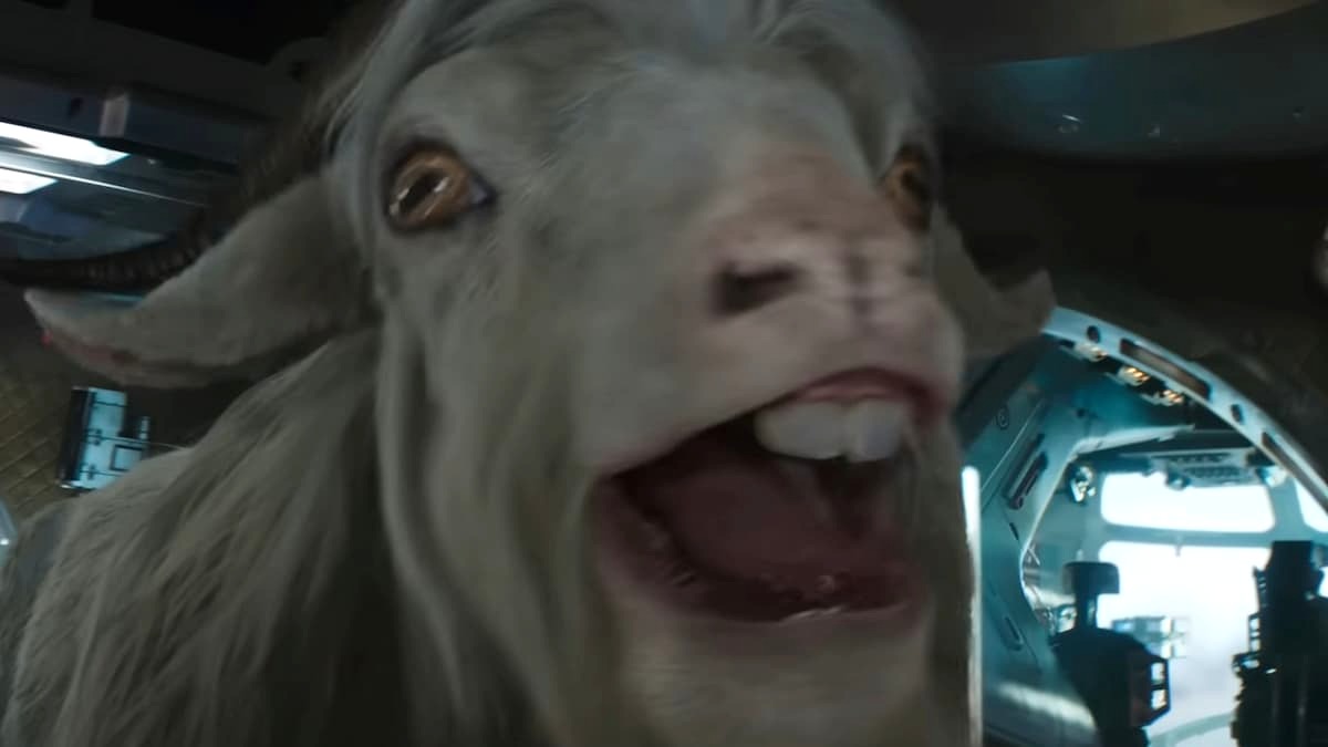 Thor Goat