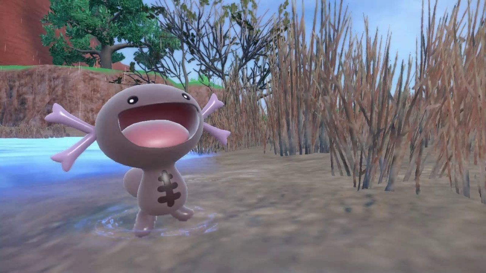 Wooper Pokemon