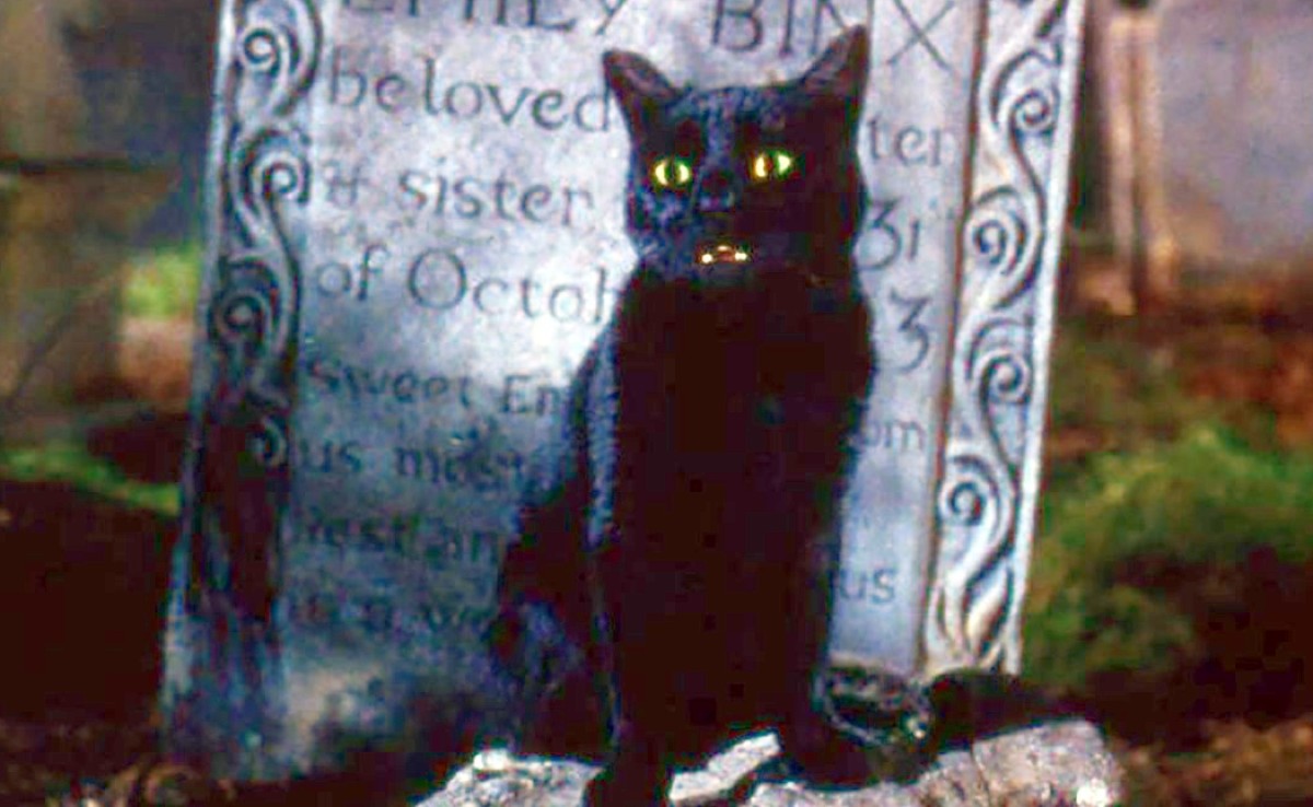 Thackery Binx in Hocus Pocus