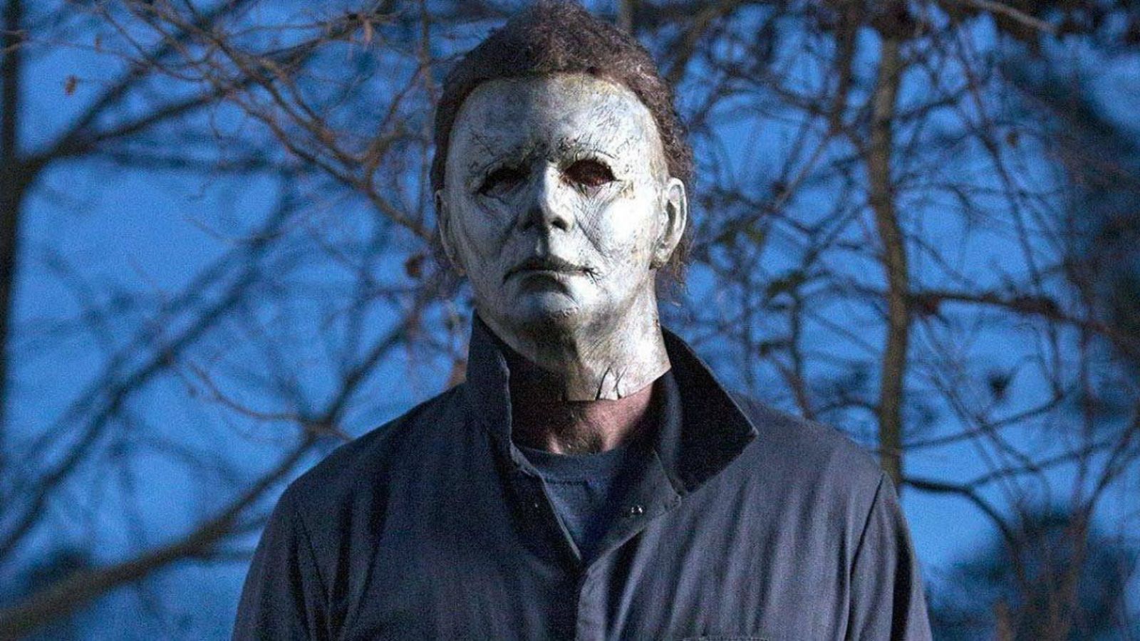 Halloween fan theory, Michael Myers