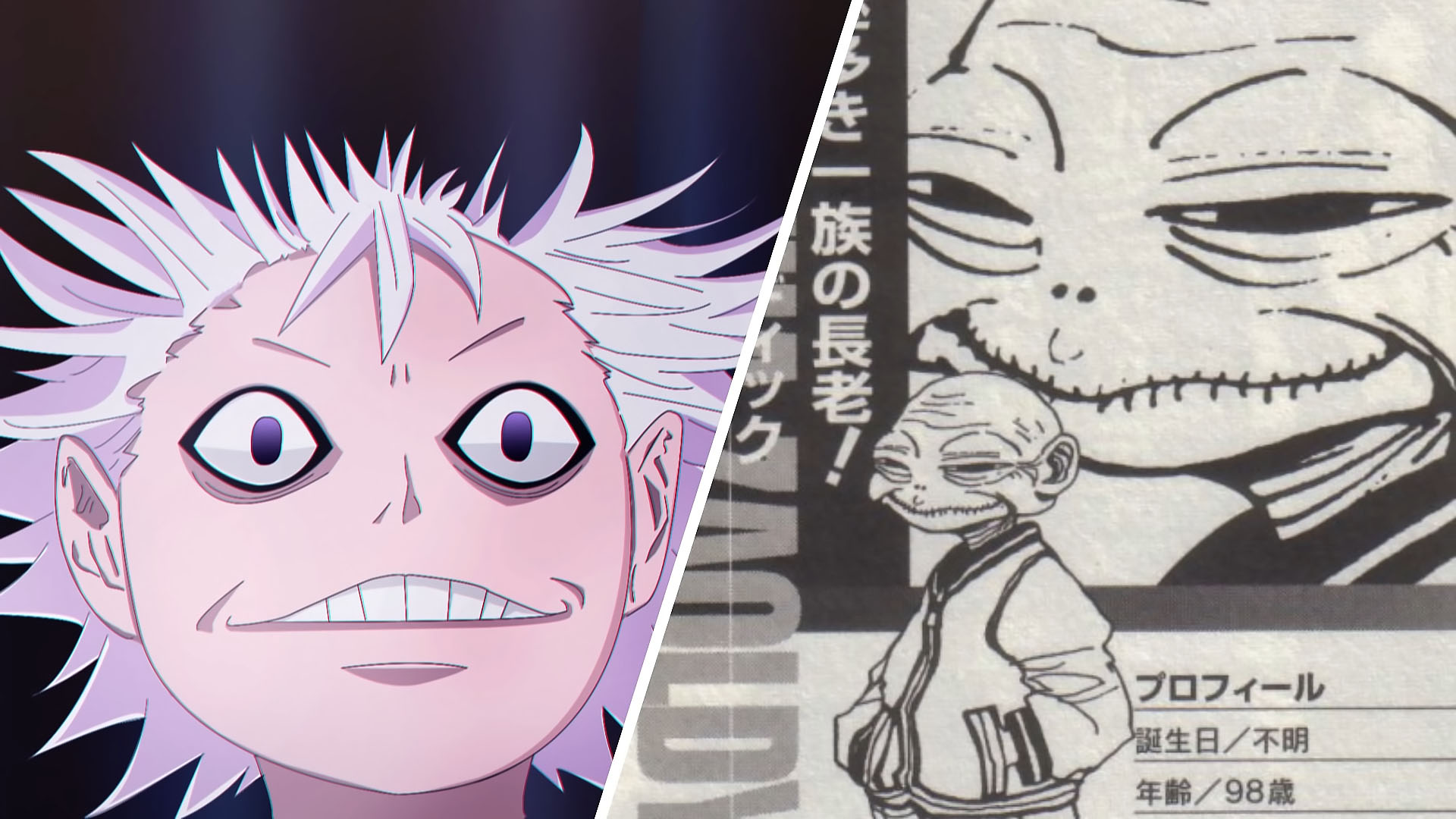 Zigg and Maha Zoldyck from Hunter x Hunterside by side