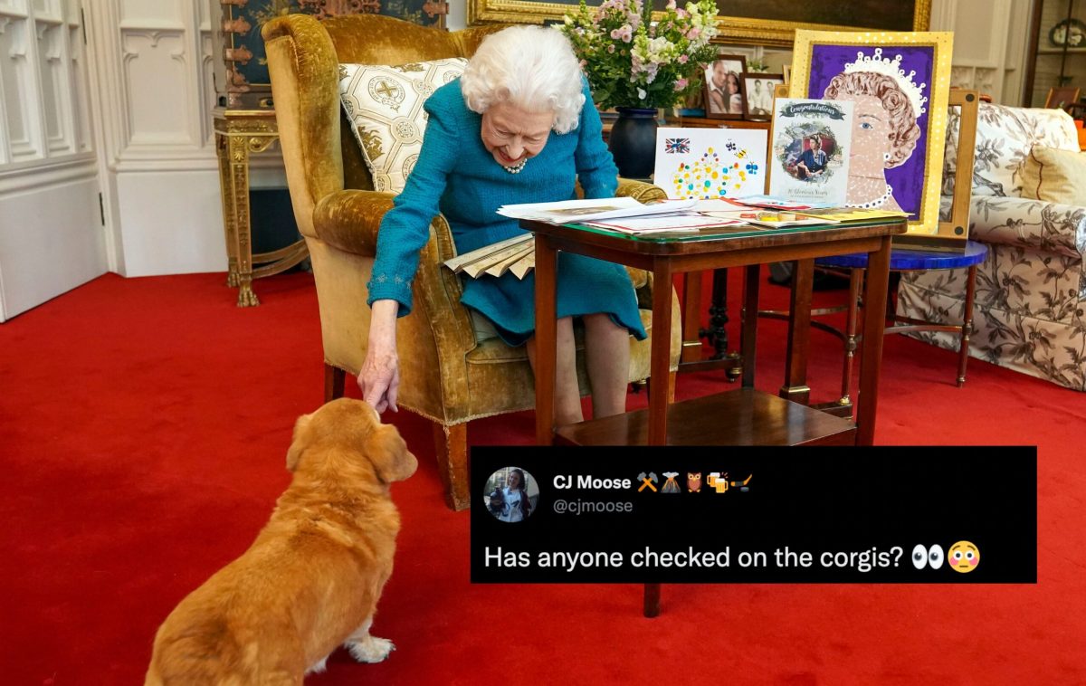 Queen Elizabeth II corgis