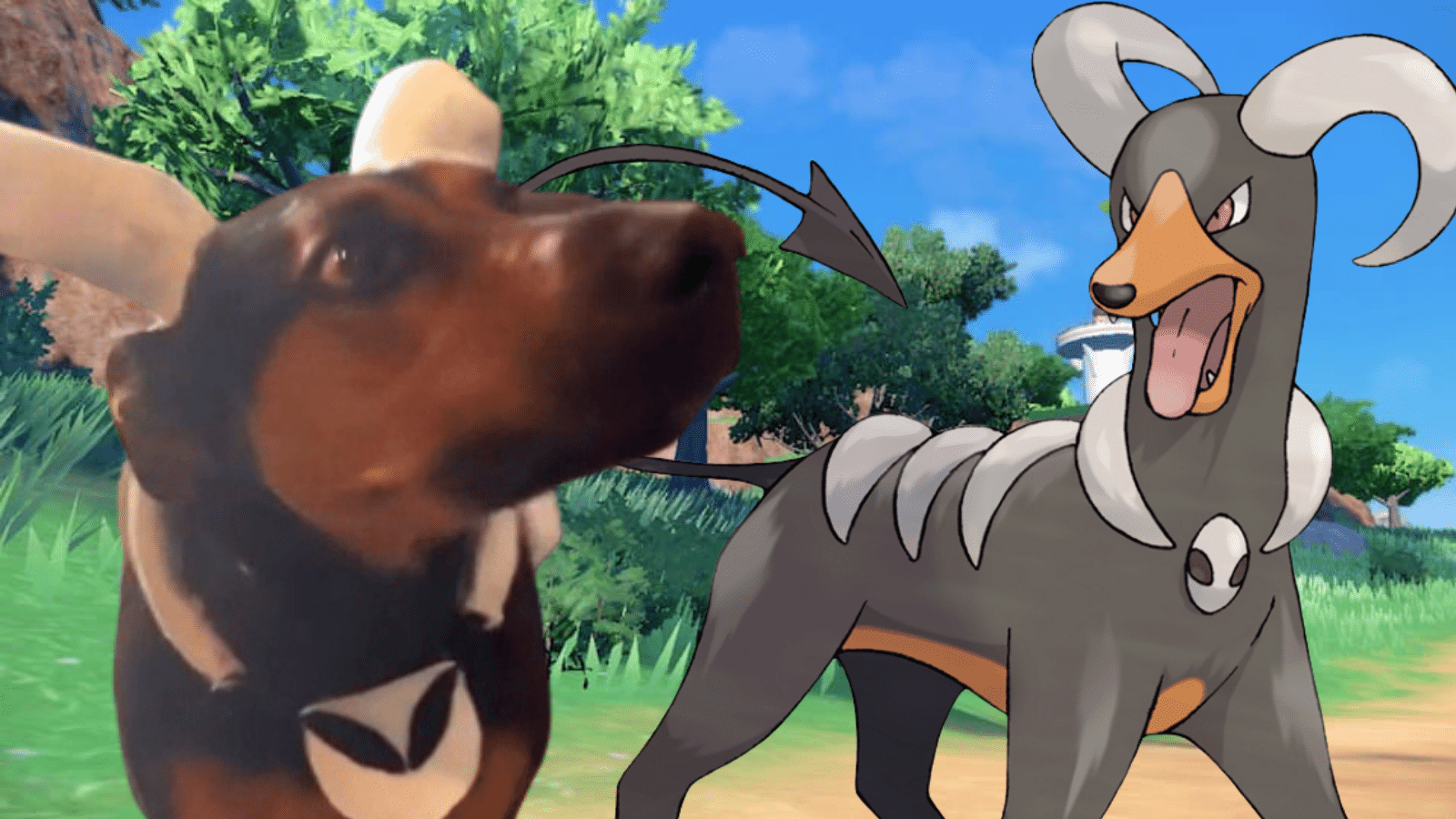 Houndoom Pokemon dog costume wins Halloween