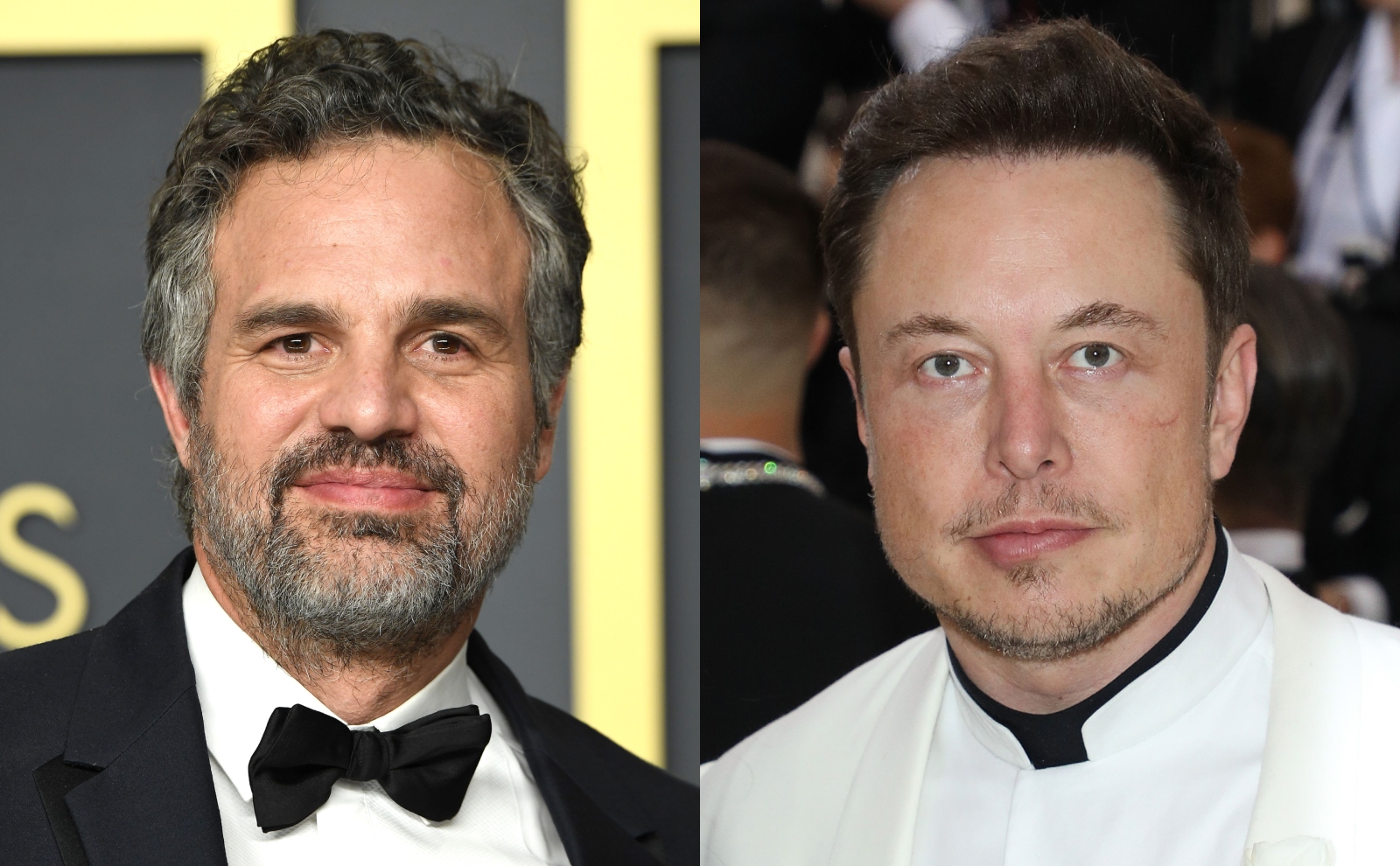 Elon Musk Mark Ruffalo