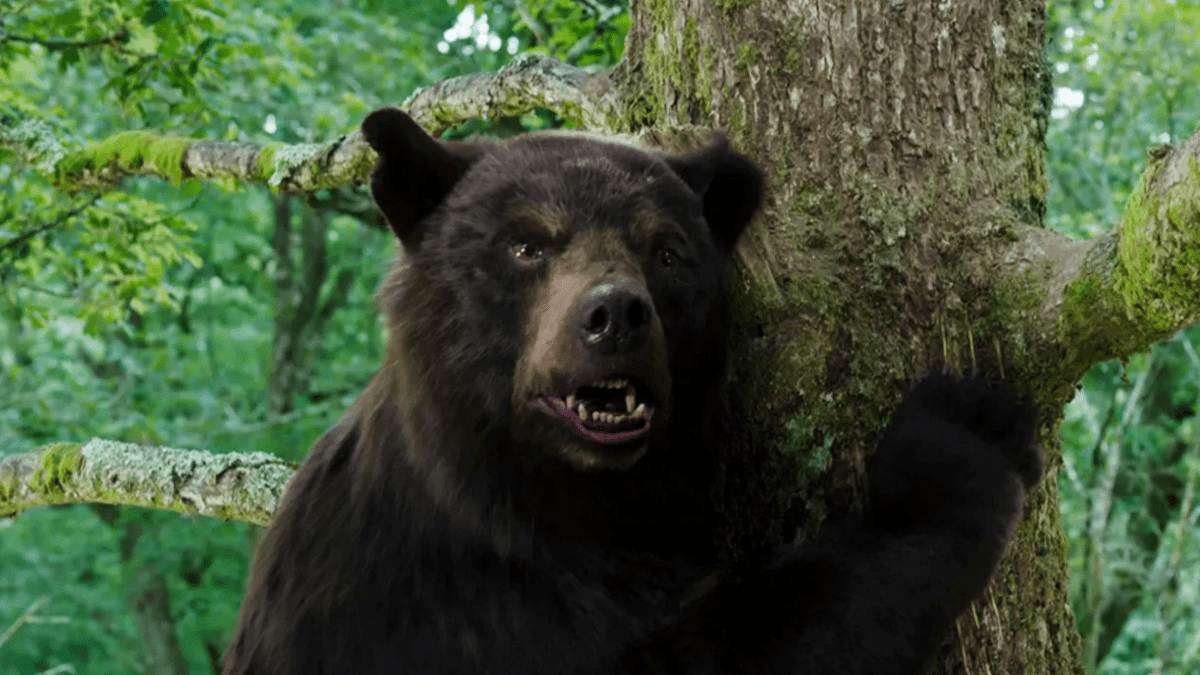 Cocaine Bear