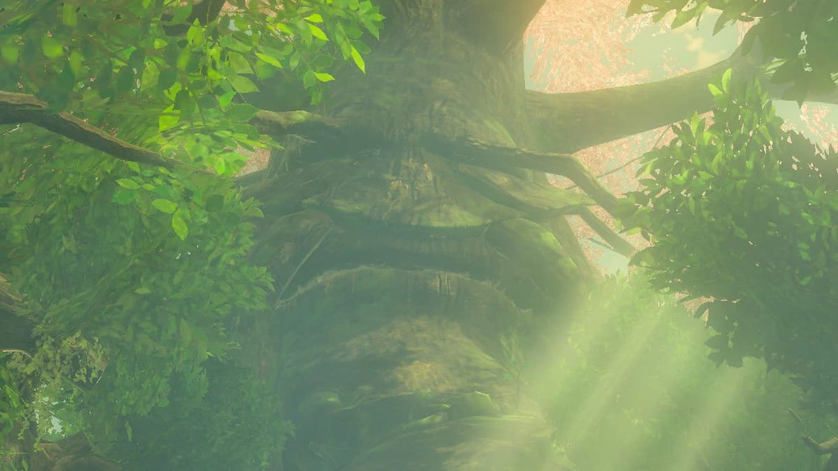 Sunlight shines through the leaves of The Great Deku Tree in the video game 'The Legend of Zelda Breath of the Wild'