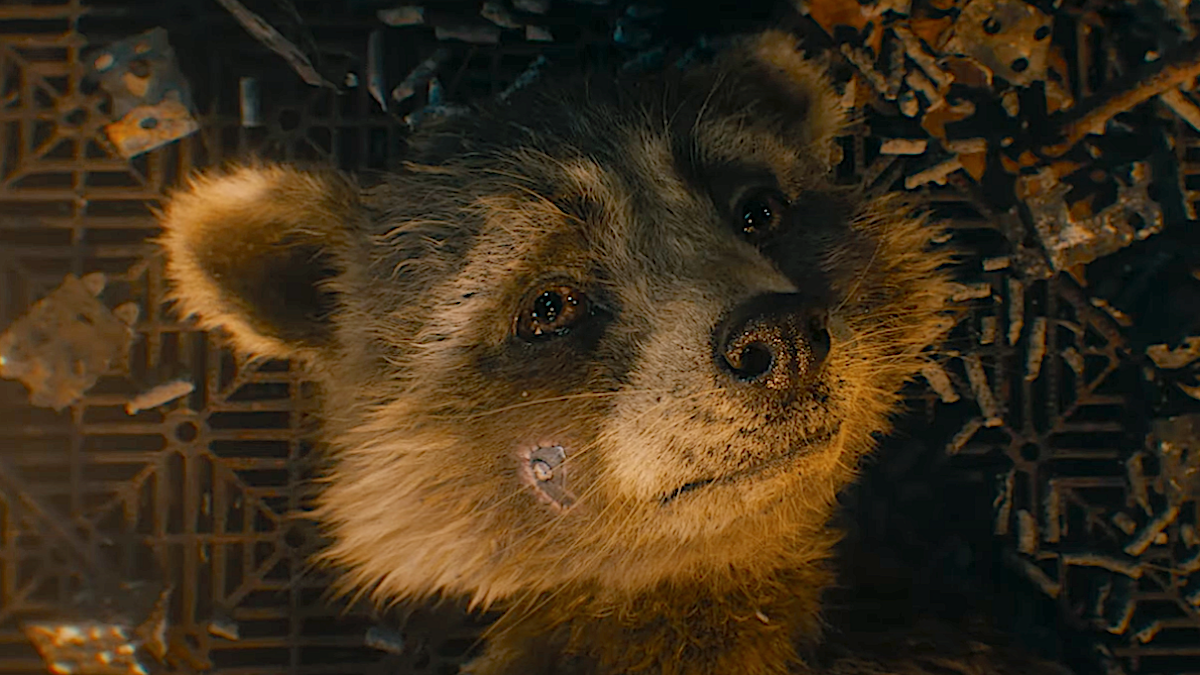 Rocket Raccoon