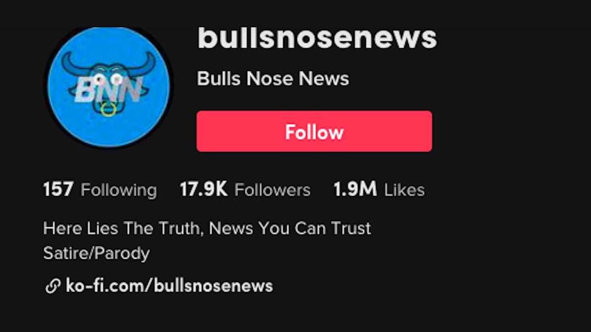 Screengrab via TikTok/@bullsnosenews