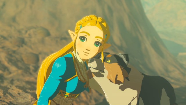 Princess Zelda in Breath of the Wild
