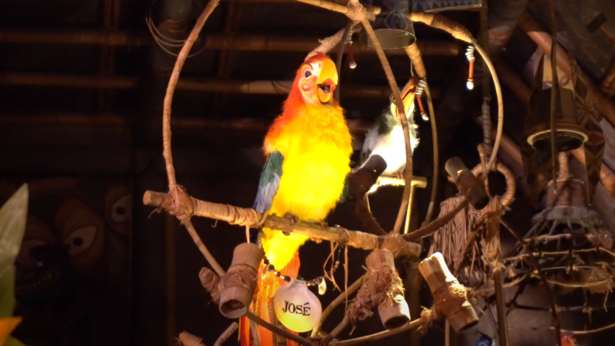 Jose the Parrot in Disneyland's Tiki Room