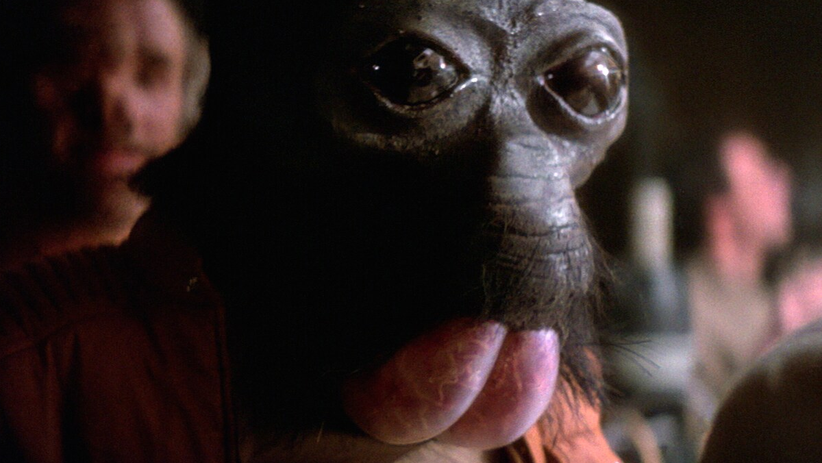 Ponda Baba