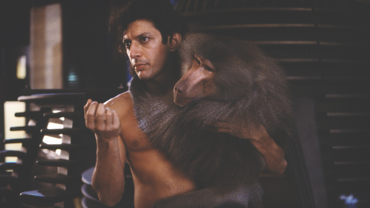 Jeff Goldblum hugging a baboon in "The Fly"