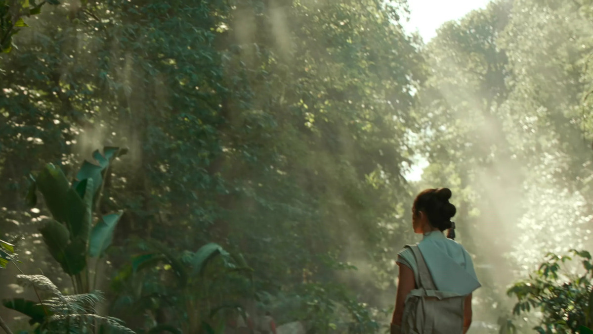 Rey stares into the woods on the moon of Ajan Kloss in 'Star Wars: The Rise of Skywalker'